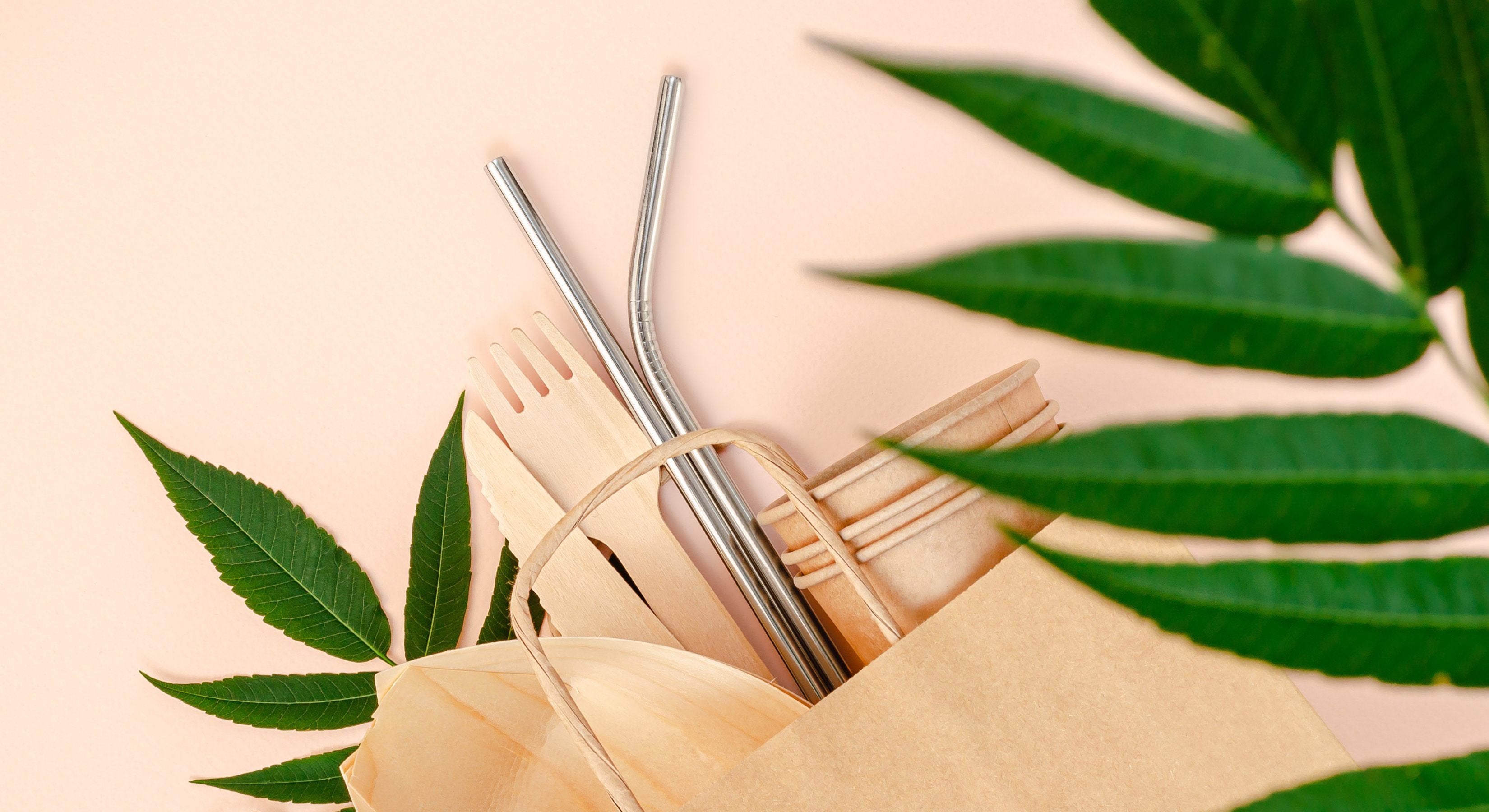 Bæredygtigt engangsservice