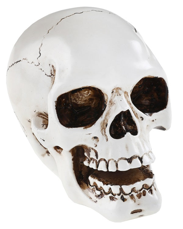 Halloween kranie til pynt 7 x 11 x 9,5 cm. hvid