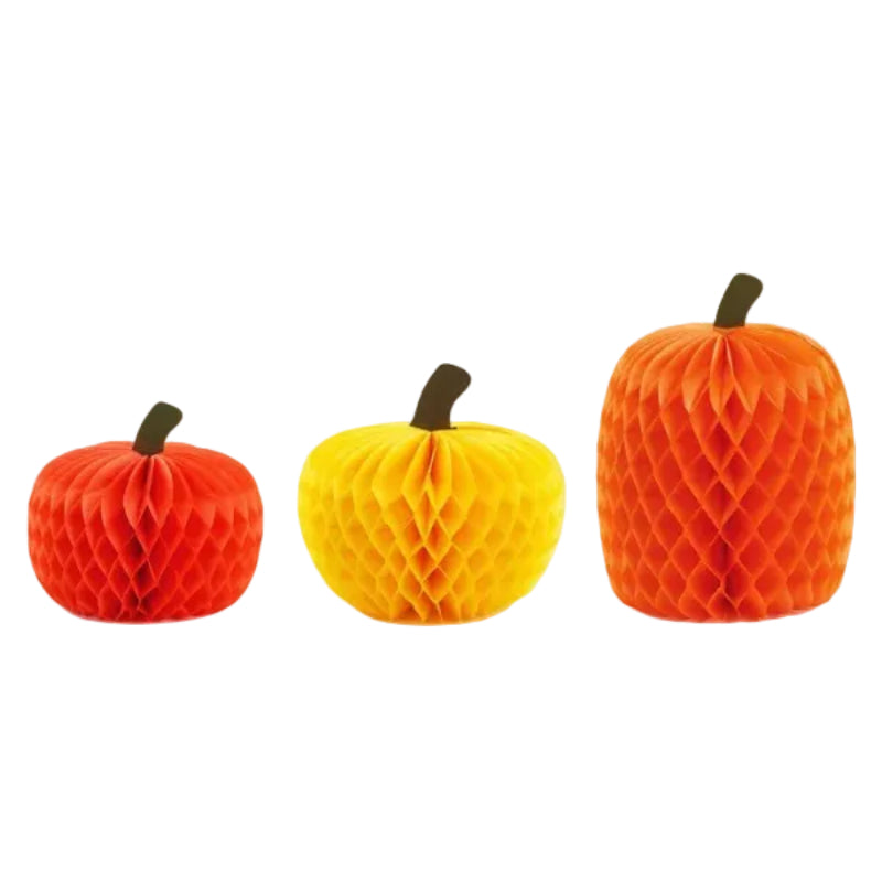 Græskar honeycombs, 18-30 cm, 3 stk.