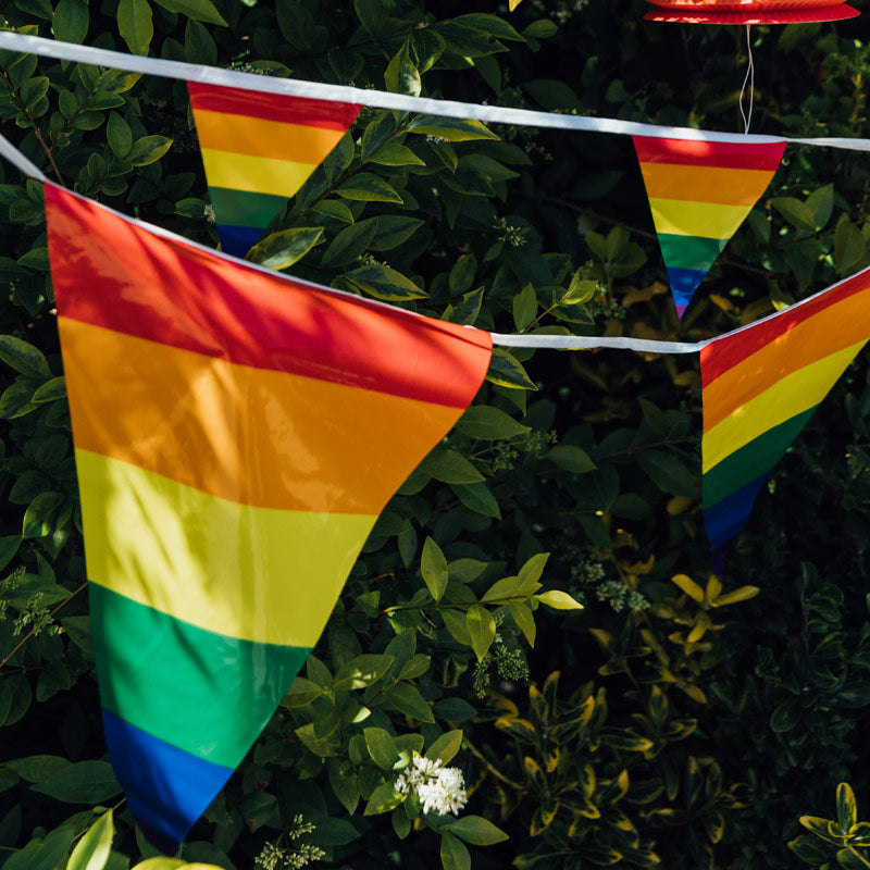 Vimpel i regnbue farver 10 m.