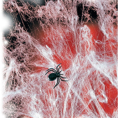 Halloween Edderkoppe spind