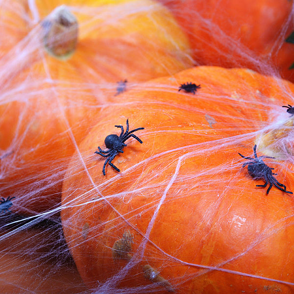 Edderkoppe spind hvidt 60 gr.