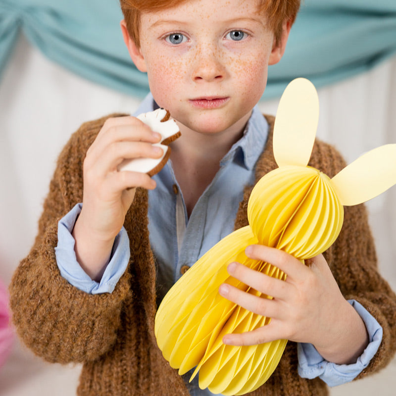 Dreng med gul påskekanin