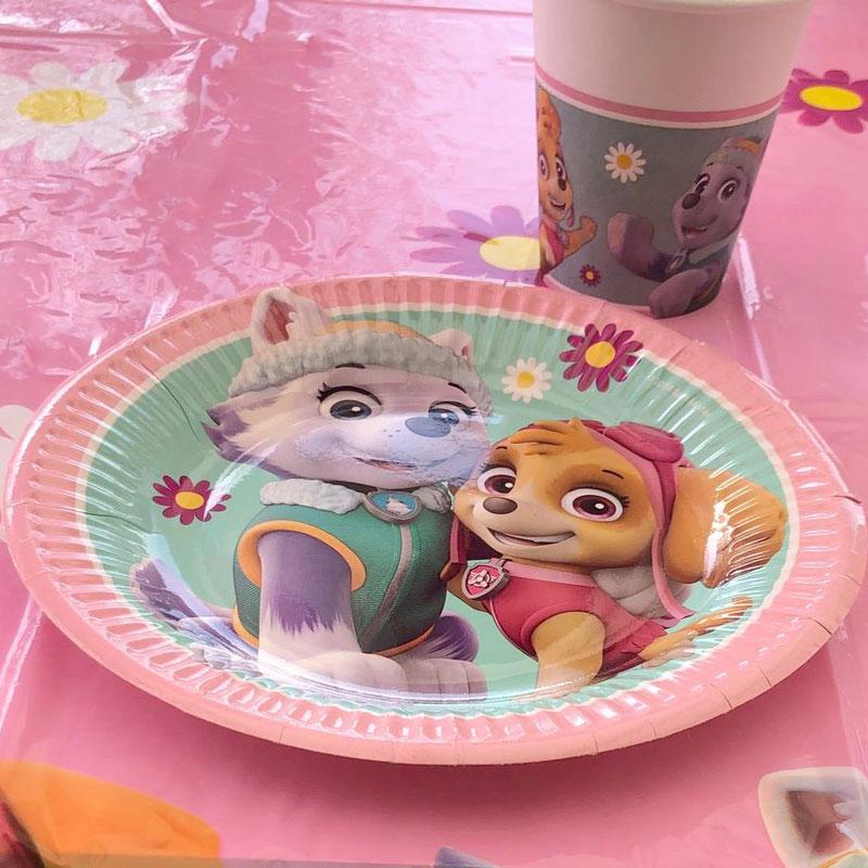 Sjov med Skye og Everest fra Paw Patrol