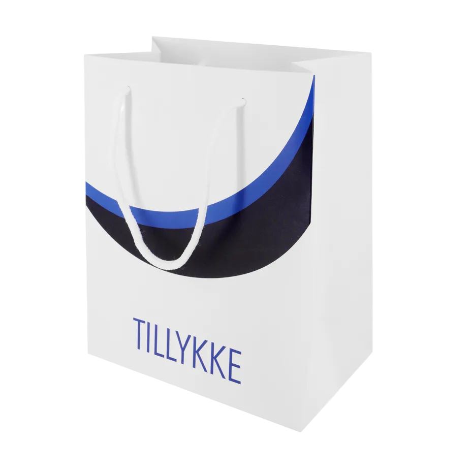 Blå student gaveposer, 2 stk.