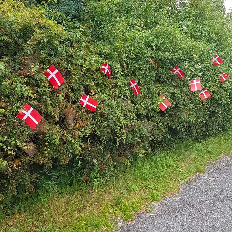 Sig velkommen med flag til fødselsdagen